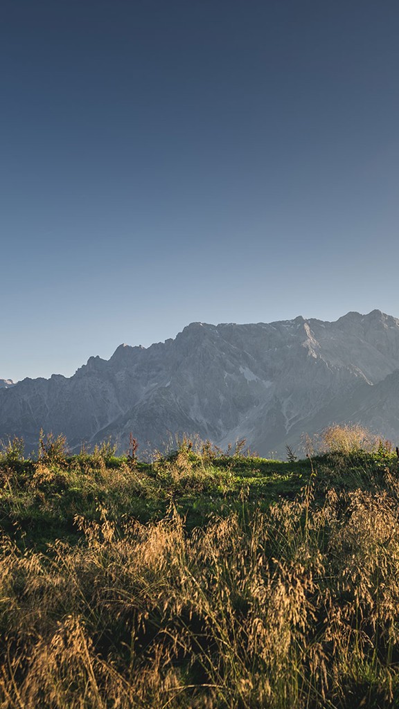 herbstwandern-hochkoenigmassiv-mariaalm Zwei Wanderer wandern auf einem Wiesenpfad vor der herbstlichen Kulisse des Hochkönigmassivs bei Traumwetter